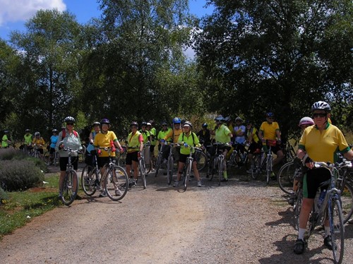 Cyclist’s coming to visit the Lavender farm